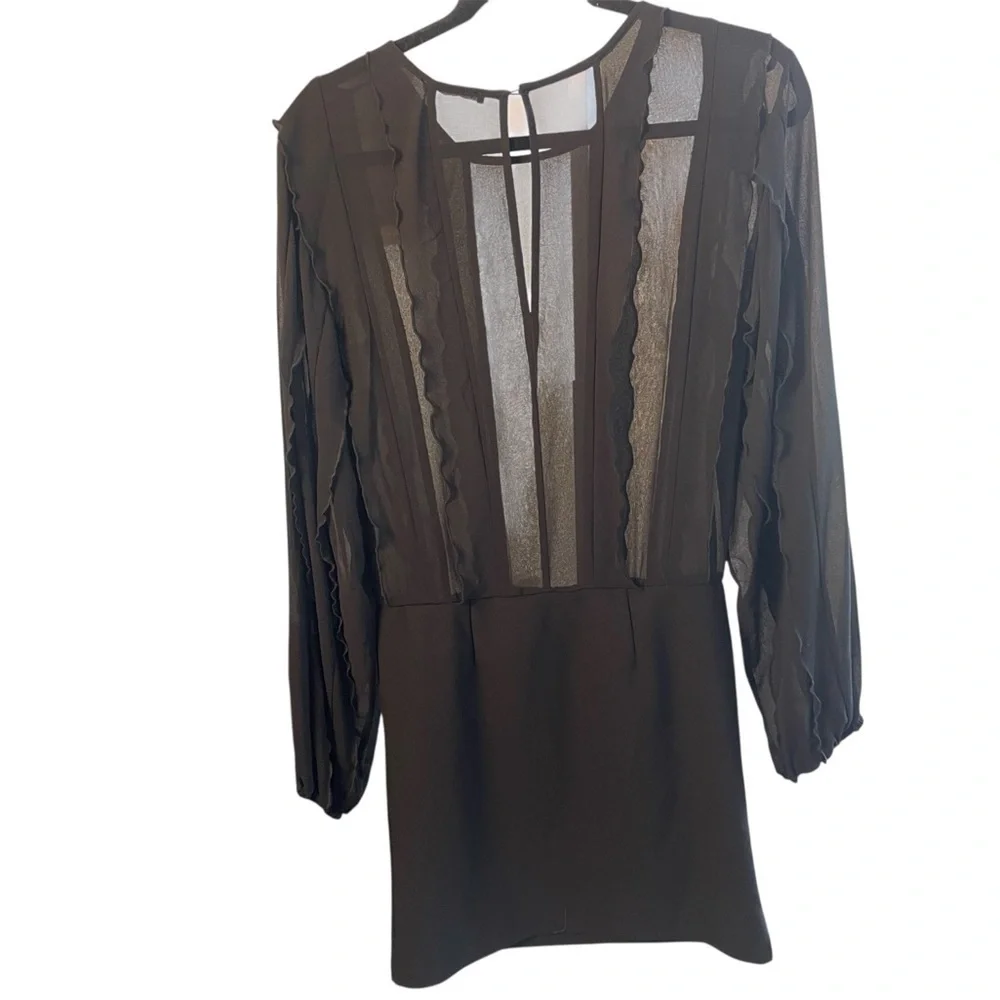 Zara Short Ruffle Dress, Sheer Black Long Sleeve, Parties, Dance, Cocktails, M - Picture 12 of 13